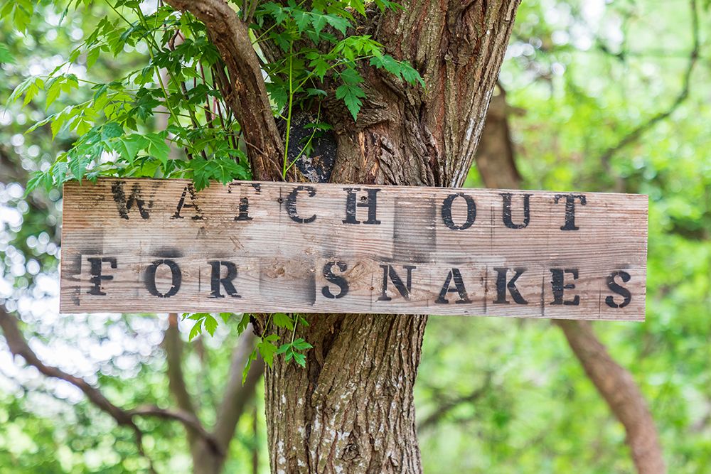 Castroville-Texas-USA-Sign warning snakes in the Texas Hill Country